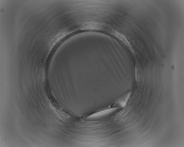 X0000067390204200604211642