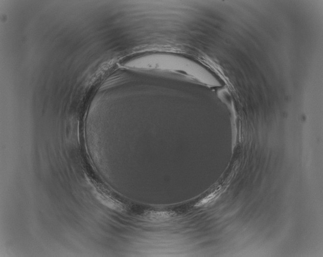 X0000067390205200604211642