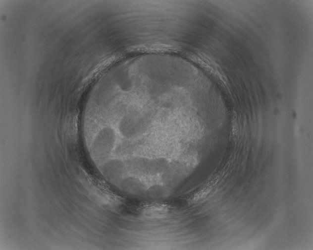 X0000067390206200604211642