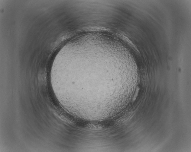 X0000067390207200604211642