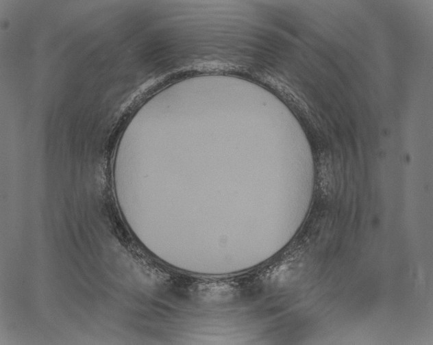 X0000067390208200604211642