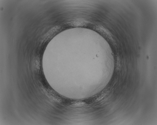 X0000067390210200604211642