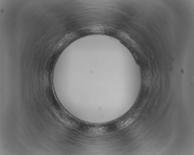 X0000067390213200604211642