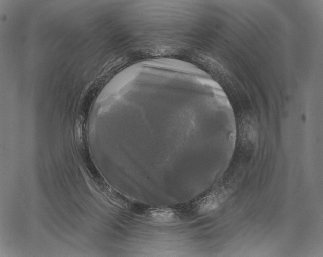 X0000067390214200604211642