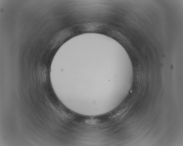 X0000067390216200604211642