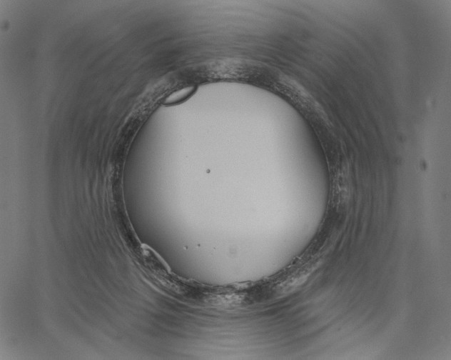 X0000067390217200604211642