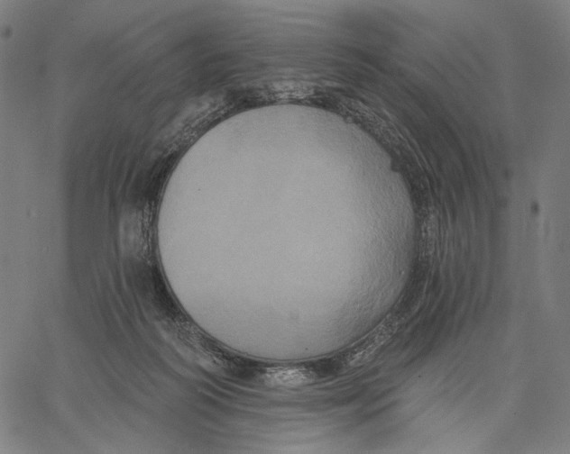 X0000067390218200604211642