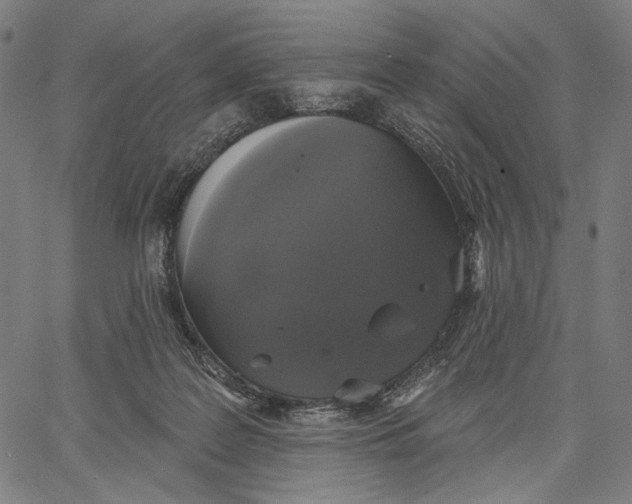 X0000067390219200604211642