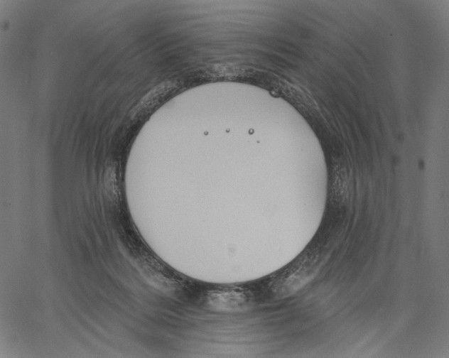 X0000067390220200604211642