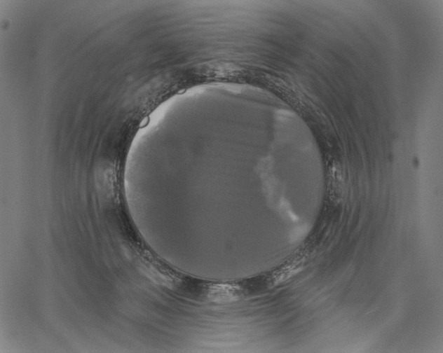 X0000067390222200604211642