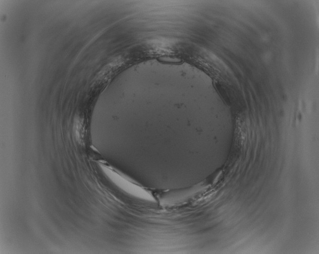 X0000067390223200604211642