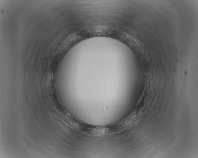 X0000067390225200604211642