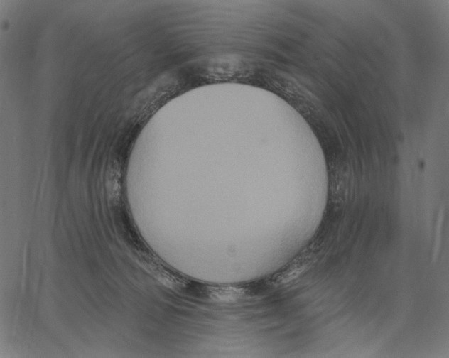 X0000067390226200604211642