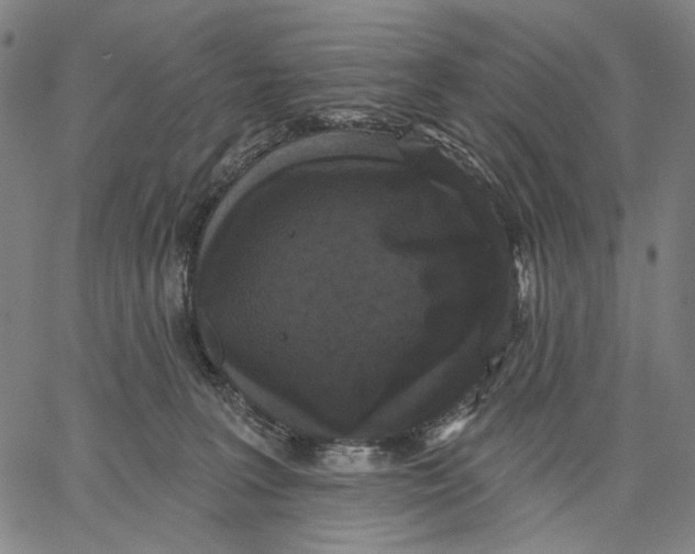 X0000067390227200604211641