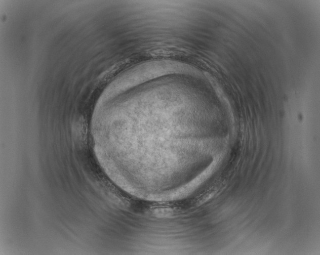 X0000067390228200604211641