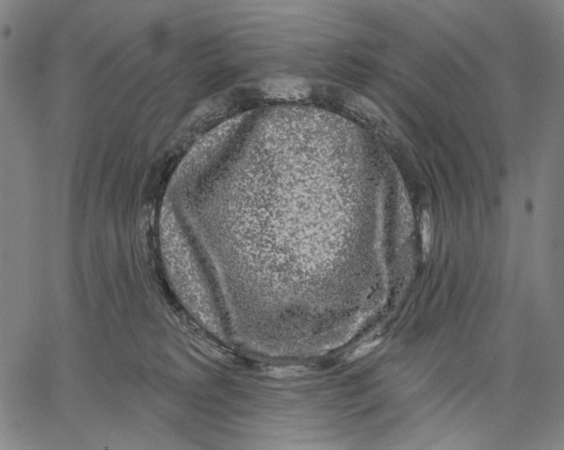 X0000067390229200604211641