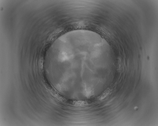 X0000067390230200604211641