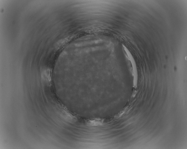 X0000067390232200604211641