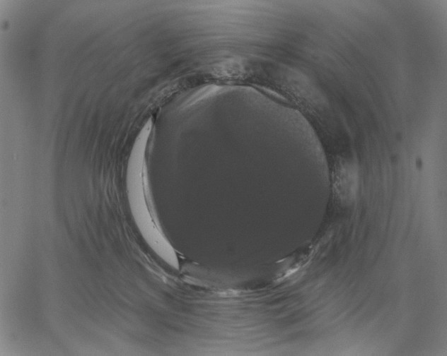 X0000067390233200604211641