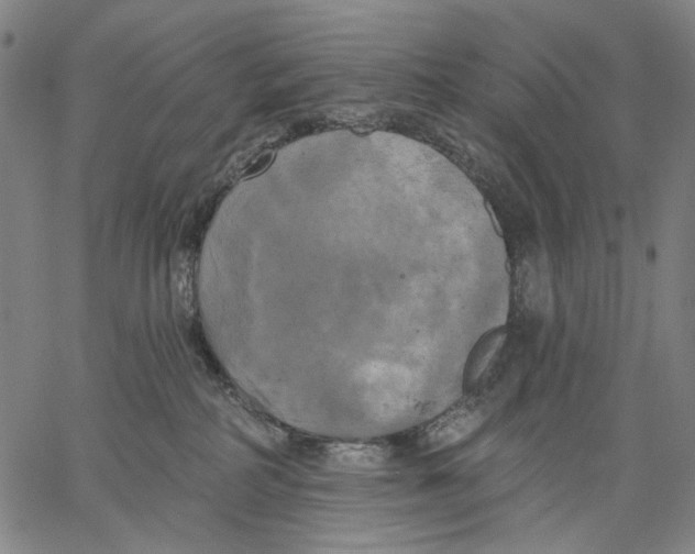 X0000067390234200604211641