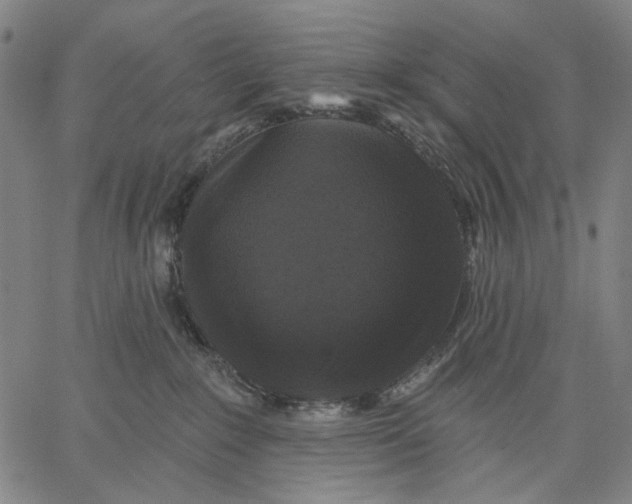 X0000067390235200604211641