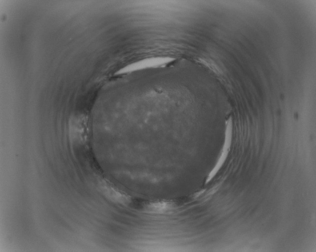 X0000067390237200604211641