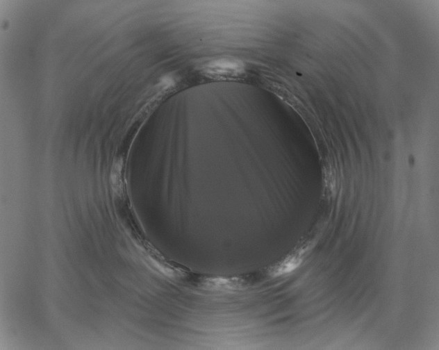 X0000067390239200604211641