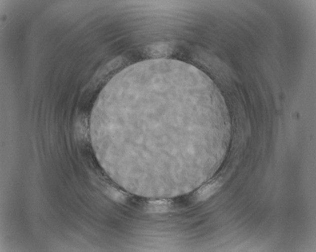 X0000067390240200604211641