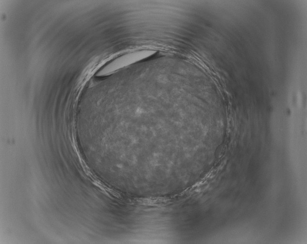 X0000067390241200604211640