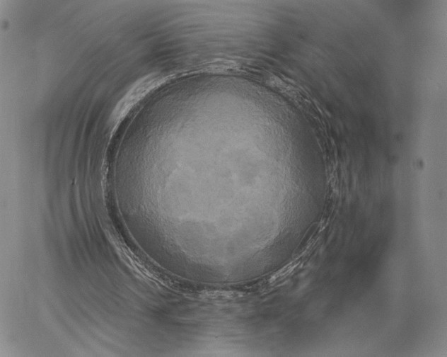 X0000067390242200604211640