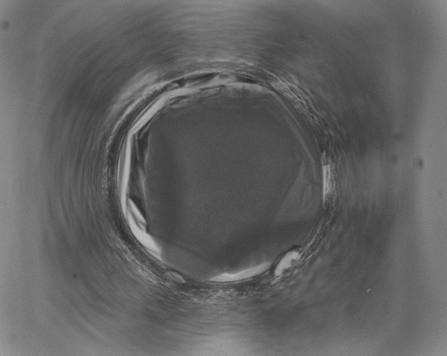 X0000067390243200604211640