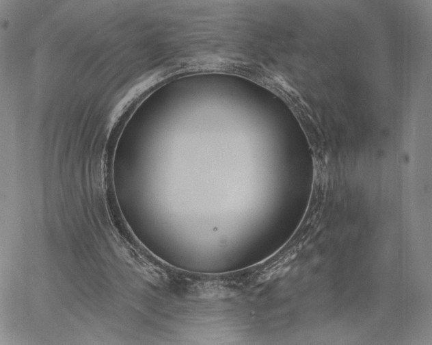 X0000067390244200604211641