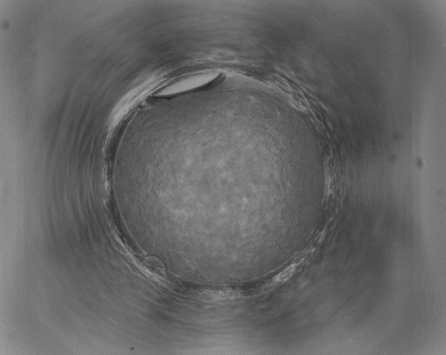 X0000067390245200604211641