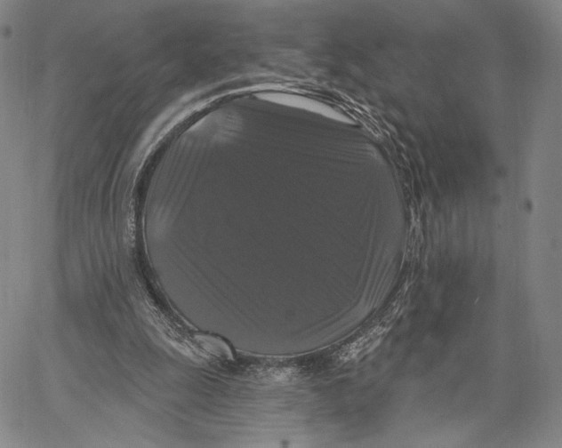 X0000067390247200604211641