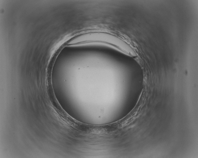 X0000067390248200604211641