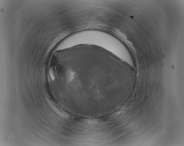 X0000067390250200604211641