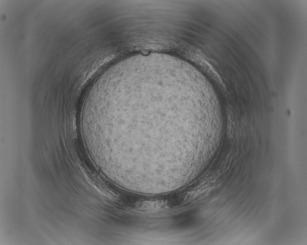 X0000067390251200604211641