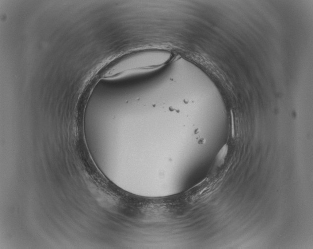 X0000067390252200604211641