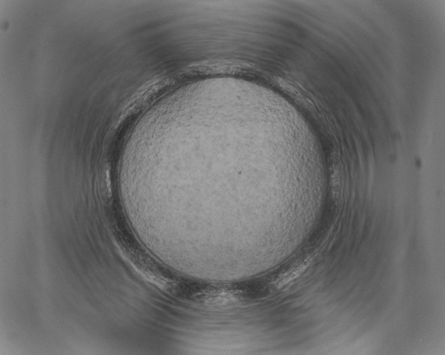 X0000067390254200604211641