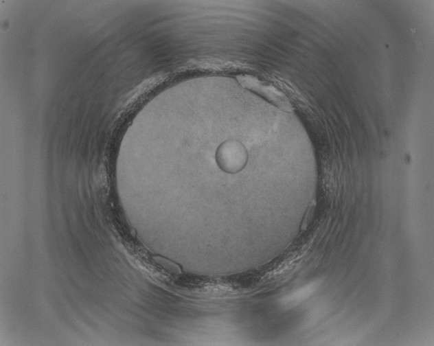 X0000067390256200604211641