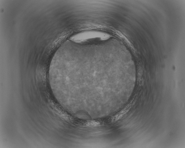 X0000067390257200604211641