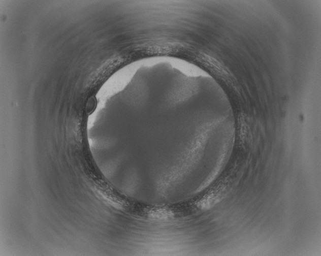 X0000067390258200604211641