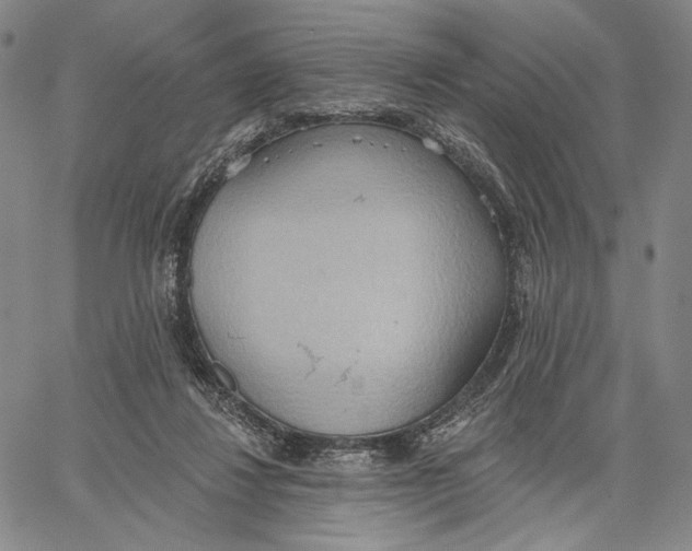 X0000067390260200604211641