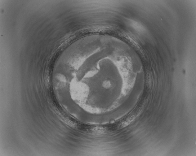 X0000067390261200604211641