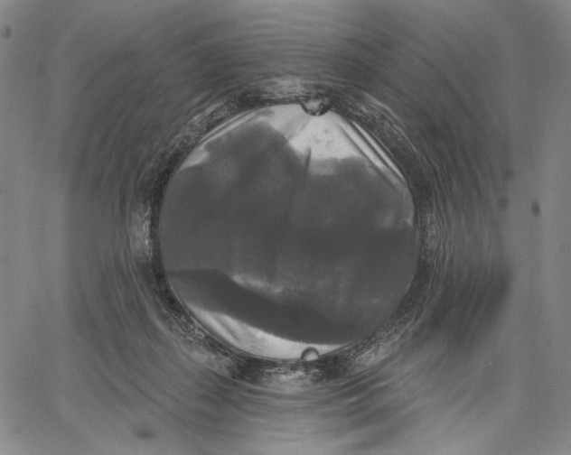 X0000067390267200604211641