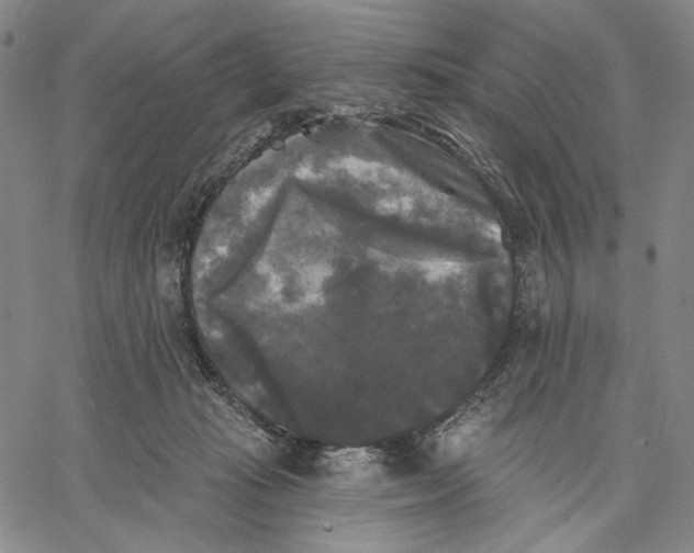 X0000067390269200604211641