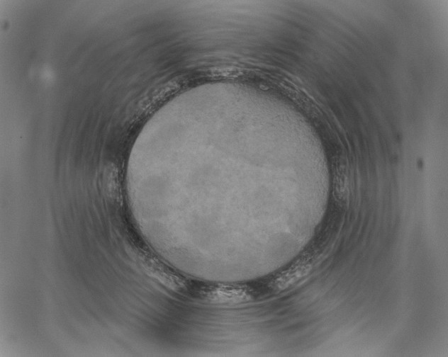 X0000067390270200604211641