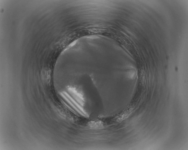 X0000067390271200604211641