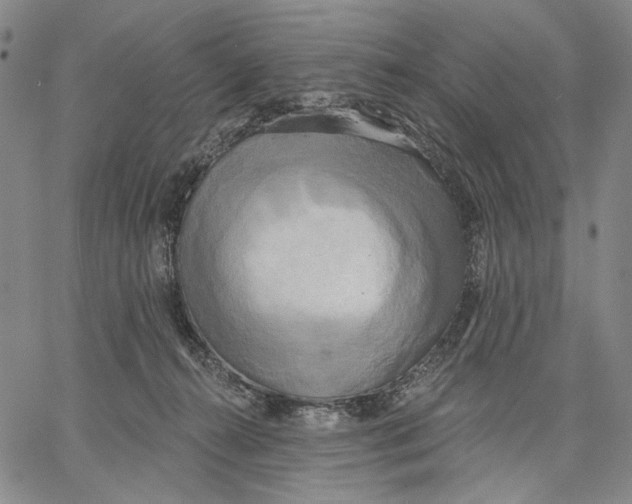 X0000067390272200604211641