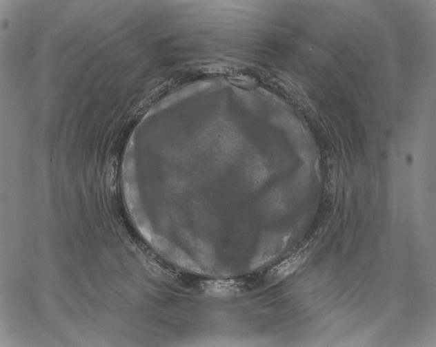 X0000067390273200604211641